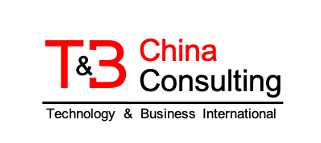 China Technology & Business Consulting